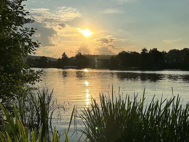 Blick auf die idyllische Naabspitze und die Badebucht in Mariaort bei Regensburg, direkt am Hotel Krieger gelegen.