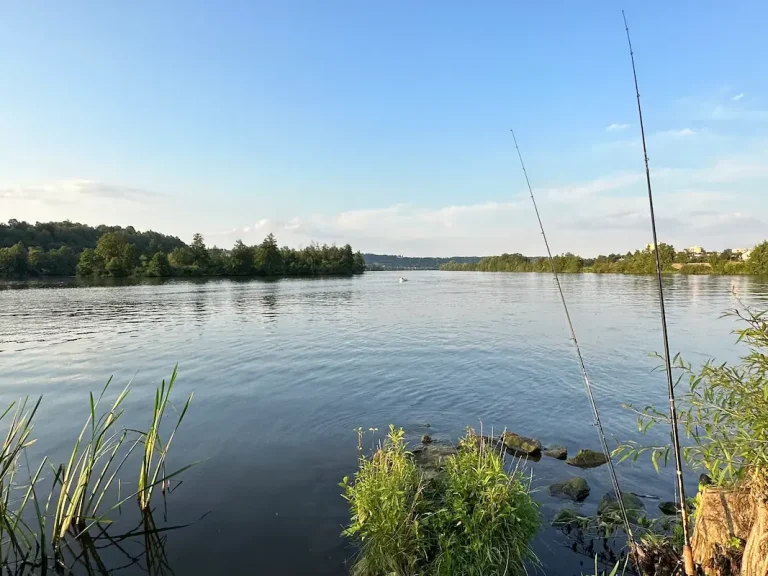 Entspanntes Angeln an der Naab-Donau-Mündung in Mariaort, direkt vor dem Hotel Krieger bei Regensburg.